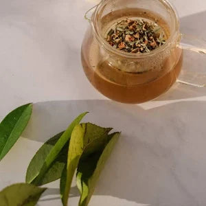 Tisane allaitement – Soutien & détente