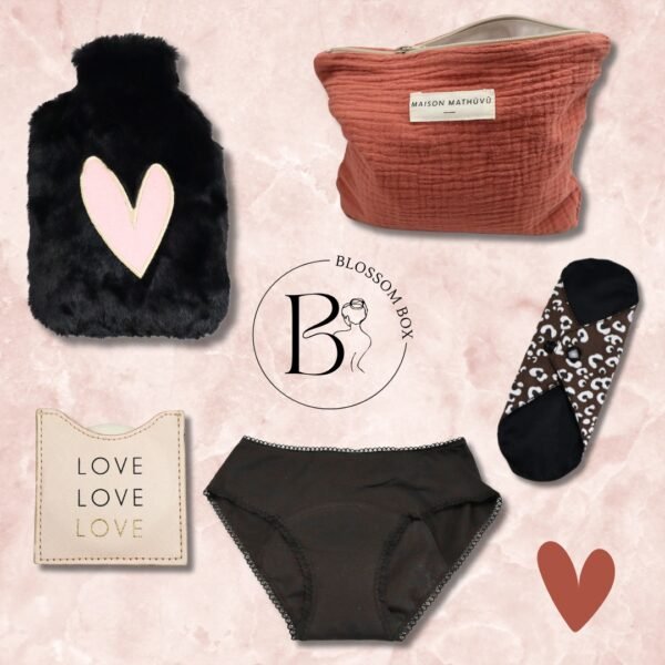 Box premières règles – Coffret Première Lune Culotte menstruelle incluse dans la box premières règles